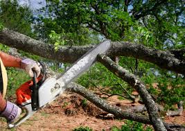 Mulching Services in Gridley, IL